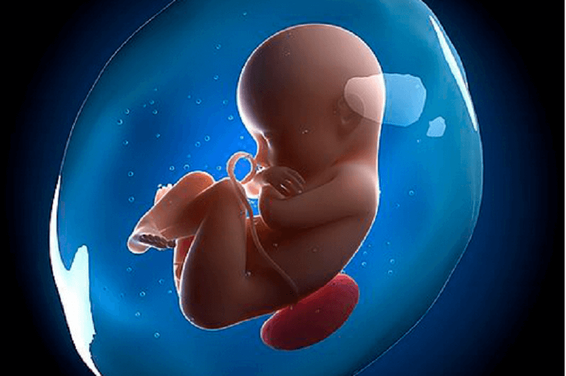 1693032875288134.jpg 4E1B09740.jpg