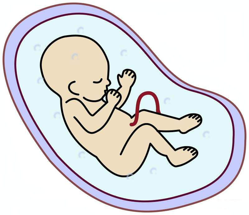 1693203100624248.jpeg 1C1476ADE.jpeg