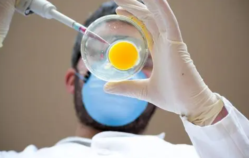 1693204512260999.png 1693204512260999.png