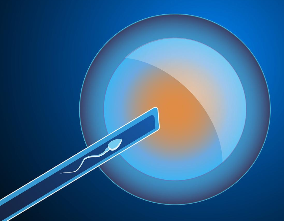 1693206787333366.png 78303031B.png