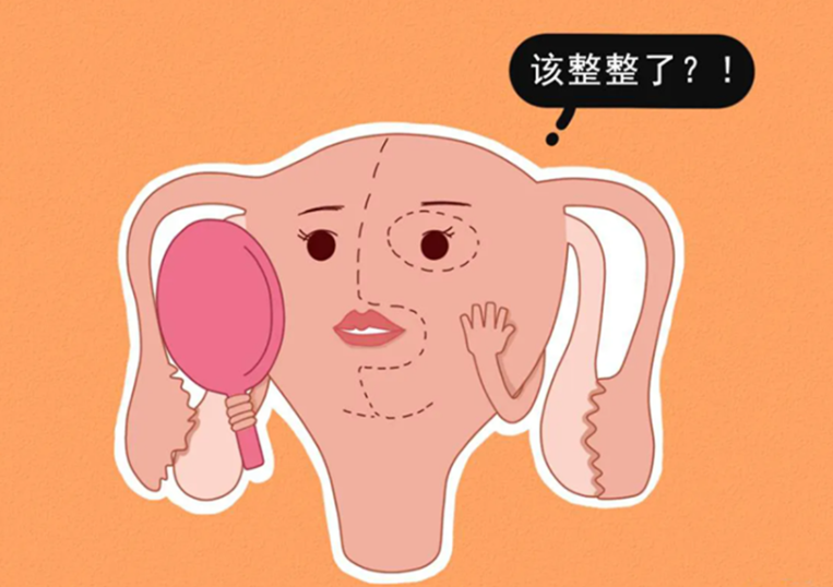 1693206923301446.png 1693206923301446.png