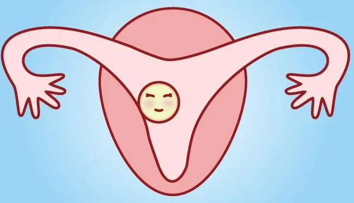 1693290961486329.png 1693290961486329.png