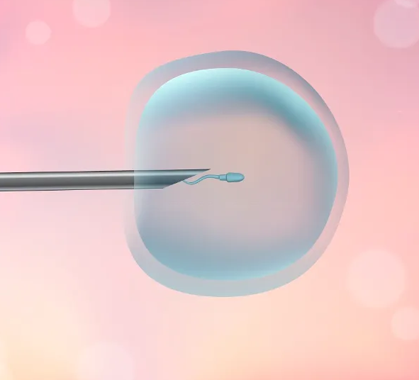 1693293187554831.png 3745E69F3.png