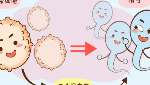 1693462155113697.png 51.png