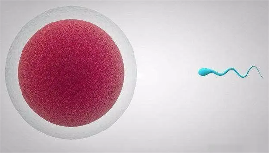 1693550776938648.png 10.png