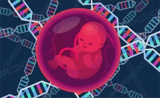 1693982373335258.png 114.png