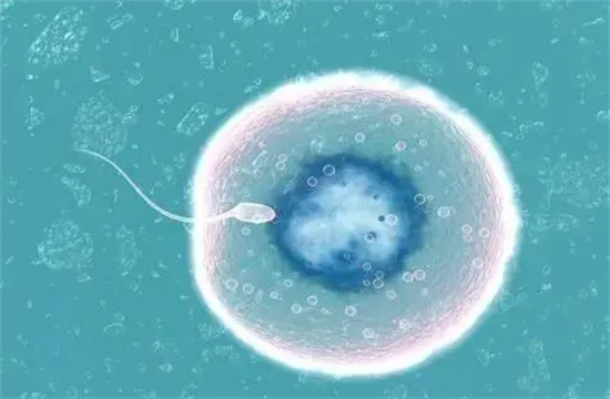 1694160419944998.png 11.png