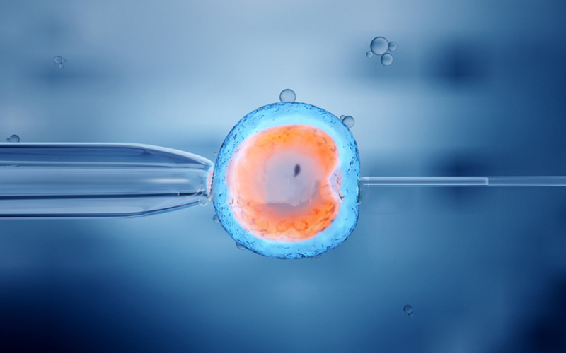 1694242517812680.jpg 425DEE2DF.jpg