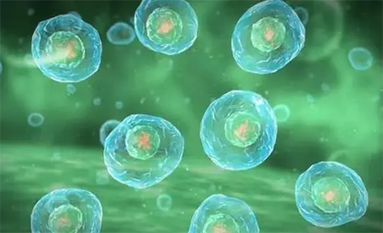 1694418956470506.png 116.png