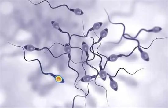 1694760375738613.png 97.png