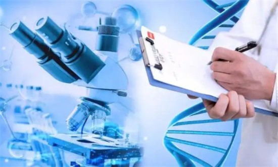 1695019442264311.png 12.png