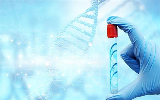 1695023528990626.png 45.png