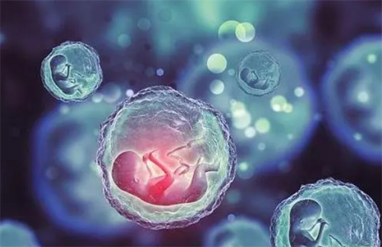 1695195834733351.png 93.png