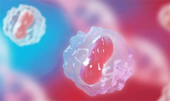 1695624874430856.png 73.png