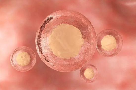 1695798450651065.png 12.png