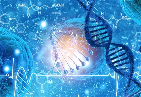 1695884301915528.png 25.png