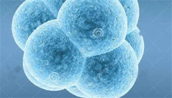 1696660455698344.png 9.png