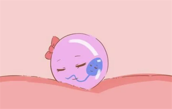 1697180678374334.png 74.png