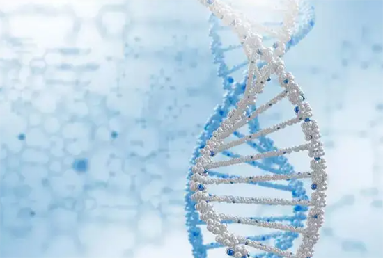 1697269750581413.png 139.png