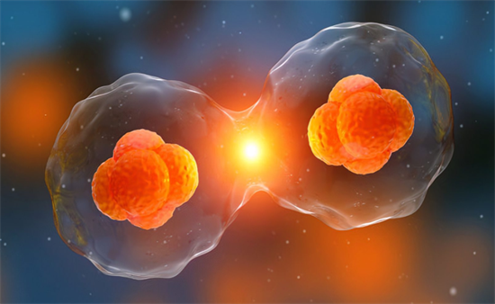 1697611296716453.png 108.png