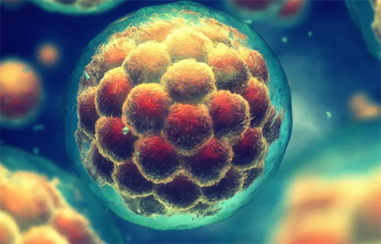 1698216788322645.png 26.png