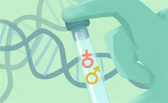 1698477688581513.png 52.png