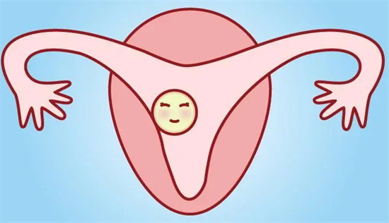 1698480008582462.png 74.png