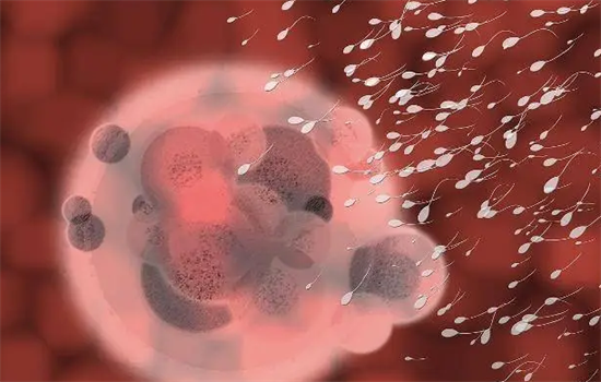 1698994236438649.png 22.png