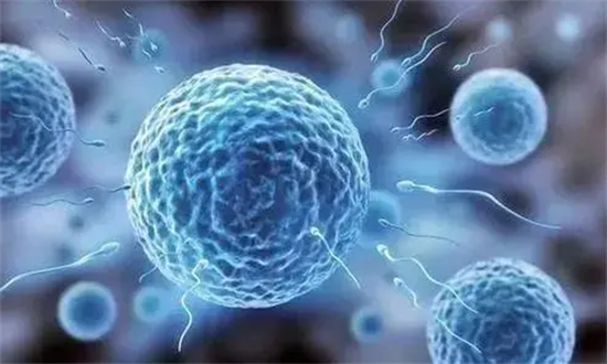 1699423780112033.png 105.png