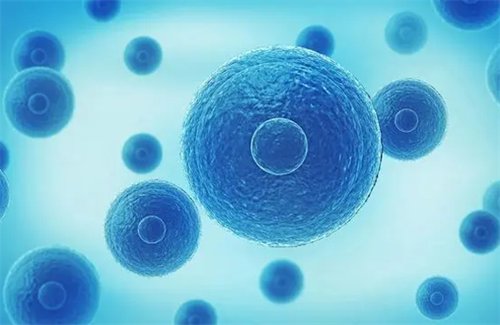 1699426061406555.png 1.png