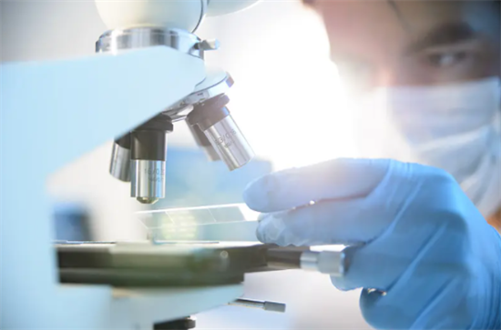 1700034828342850.png 3.png