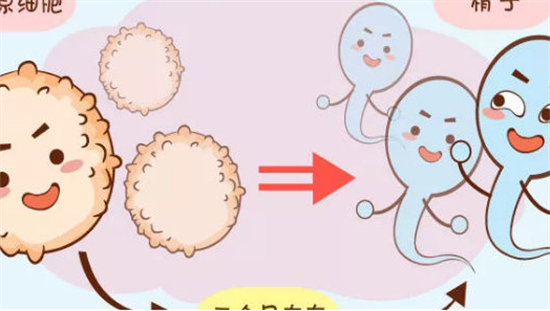 1701938533112945.png 51.png