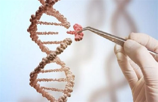 1702019310593835.png 57.png