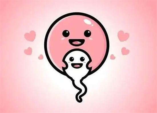 1702103765634427.png 29.png