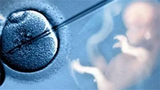 1702450496367759.png 134.png