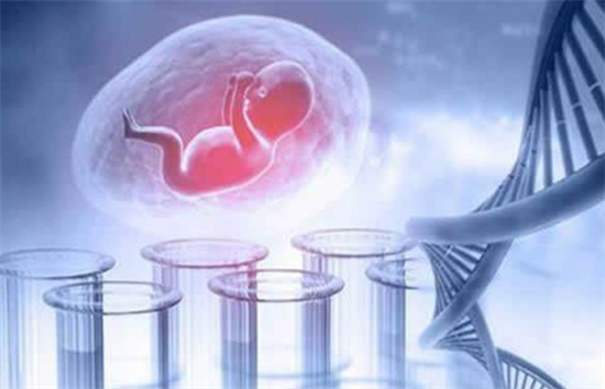 1702451673835572.png 61.png