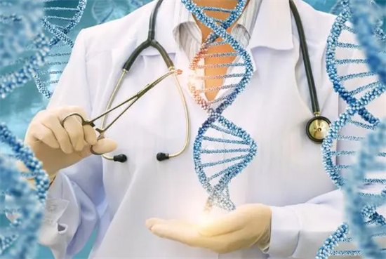 1702622747875381.png 142.png