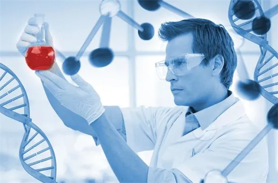 1703574597233771.png 65.png