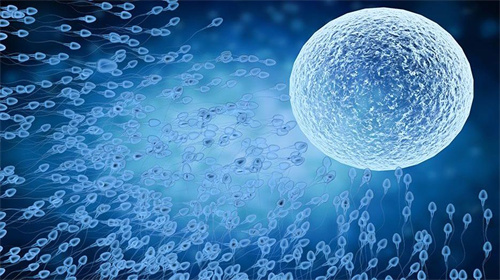 1718160974294958.jpg 1A9AF7B8C.jpg