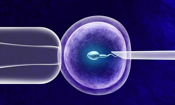 1718328008141876.png image.png