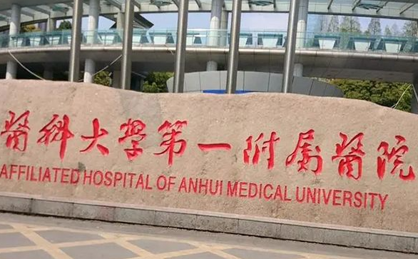 1718936120221430.png image.png