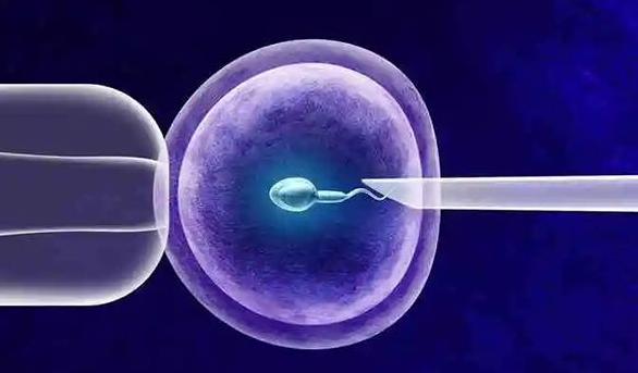 1719026215465009.png image.png