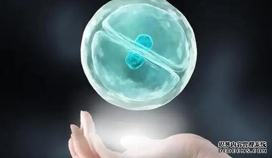 温州私人供卵 2022年温州试管婴儿费用大约多少? ‘4.1*1.6*3.6孕囊看男女’