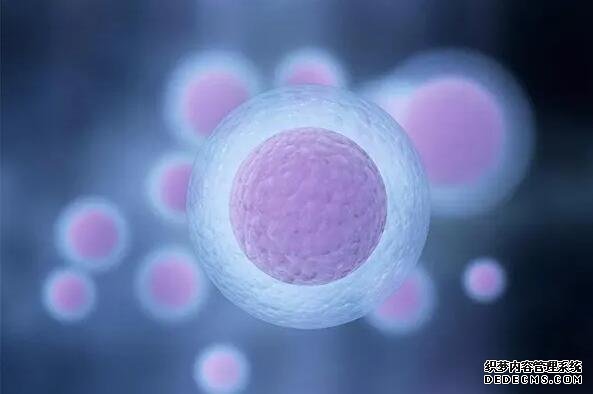 武汉专业做代怀 武汉同济做试管要多久？能做第三代手术吗 ‘孕妇坐着肚型扁扁的是女孩子吗?’