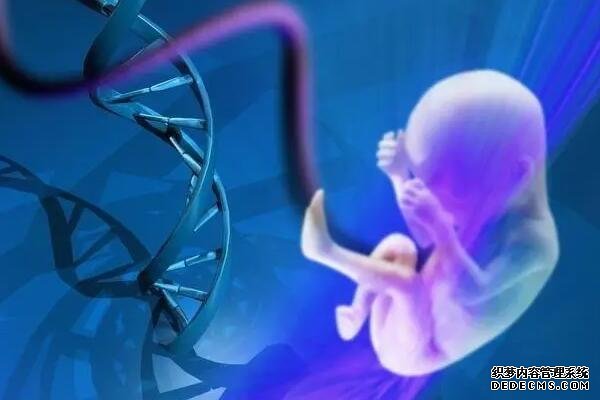 苏州哪些医院做代孕手术 苏州市立医院可以做供卵吗？ ‘怎么从比b超上看男孩女孩’