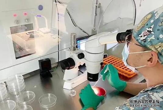 北京三院生殖科试管流程 2022北京三代试管生男孩费用?附最新助孕费用明细一览 ‘怎么区分胎儿男女双顶径53,骨股长39’