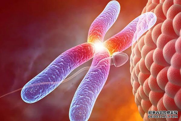 广西代生 2022广西壮族自治区私立助孕机构名单大全，附试管费用和成功率预估 ‘b超单三条线男孩图’