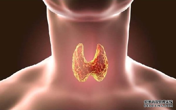 盘点果冻对孩子的8种危害，家长千万别纵容