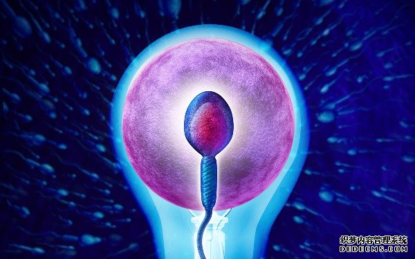 绍兴代生娃娃 绍兴妇保做试管费用多少? ‘孕囊大小看男女的公式26*23’