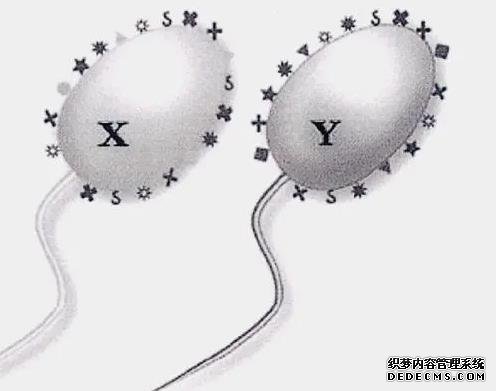 输卵管有积水不处理直接移植对着床有没有影响？